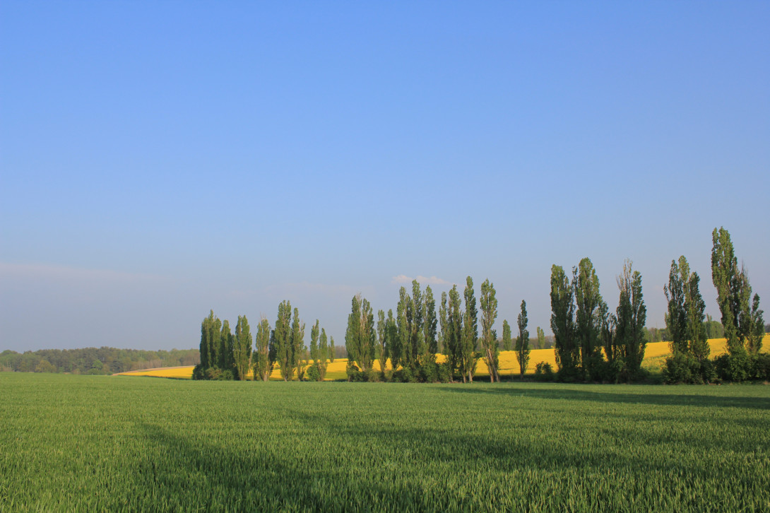 "Flämingtoskana", Foto: Bansen-Wittig