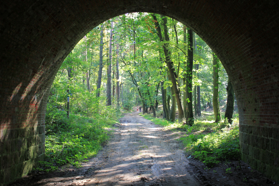 Blick aus dem Eisenbahntunnel, Foto: Bansen-Wittig