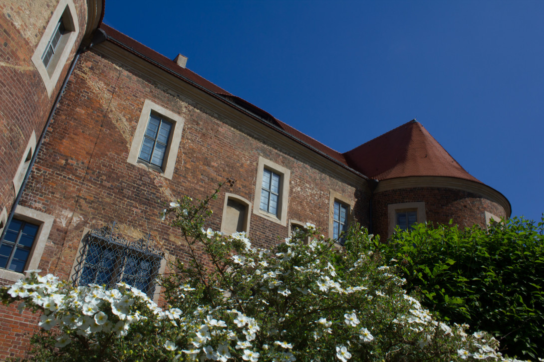 Blühende Rosen vor der Burg Eisenhardt, Foto: Bansen-Wittig