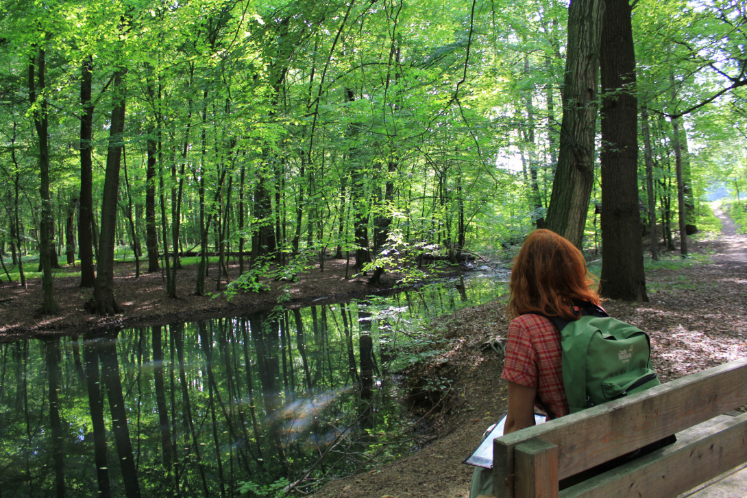 Wanderrast am Teich Forsthaus Rothebach, Foto: Bansen-Wittig