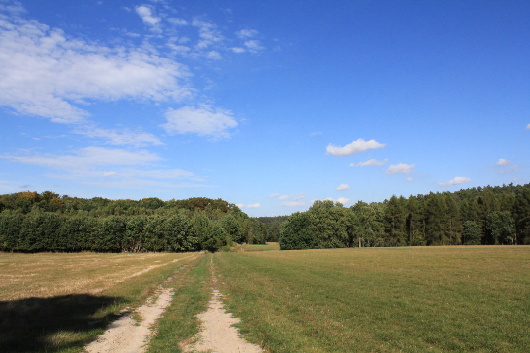 Landschaftsblick, Foto: Bansen-Wittig