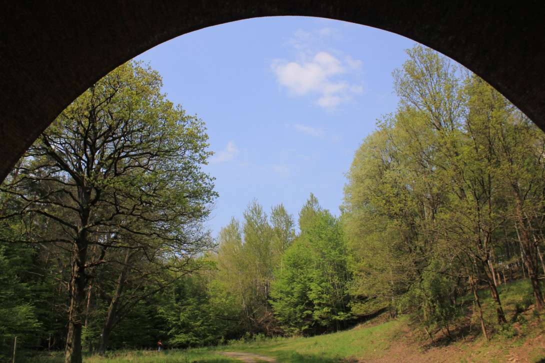 Unter der Millionenbrücke, Foto: Bansen-Wittig