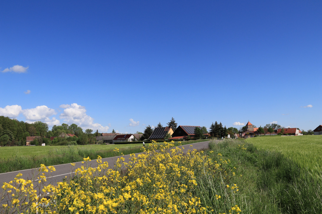 Blick auf Lüsse, Foto: Bansen-Wittig