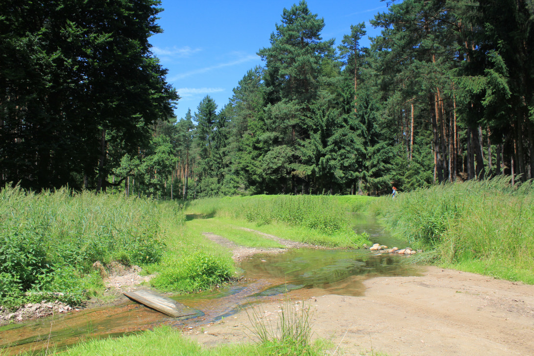 Selten führt der Seegraben viel Wasser, Foto: Bansen-Wittig