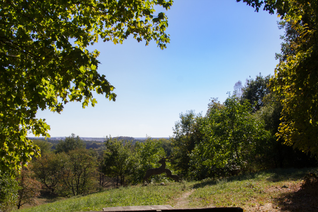 Blick vom Apfelberg auf das Kunstwerk "Die Jagd", Foto: Bansen-Wittig