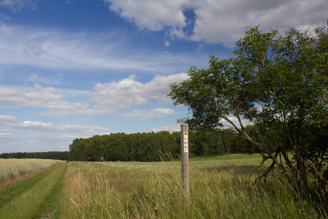 Zwischenwegweiser, Foto: Bansen-Wittig