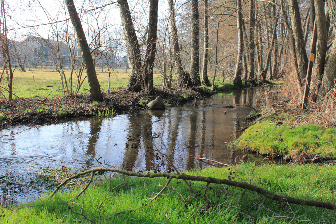 Die Plane bei Baitz, Foto: Bansen-Wittig