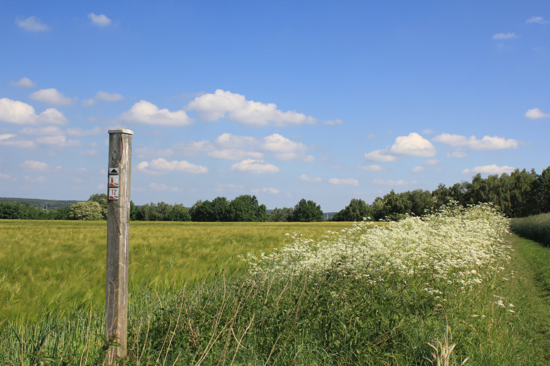 Wander-Zwischenwegweiser am Wegesrand, Foto: Bansen-Wittig