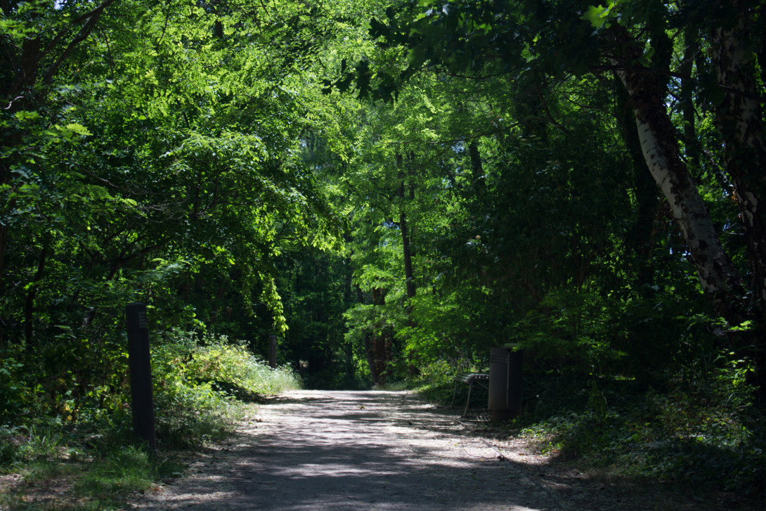 Weg zum Angelteich, Foto: Bansen-Wittig