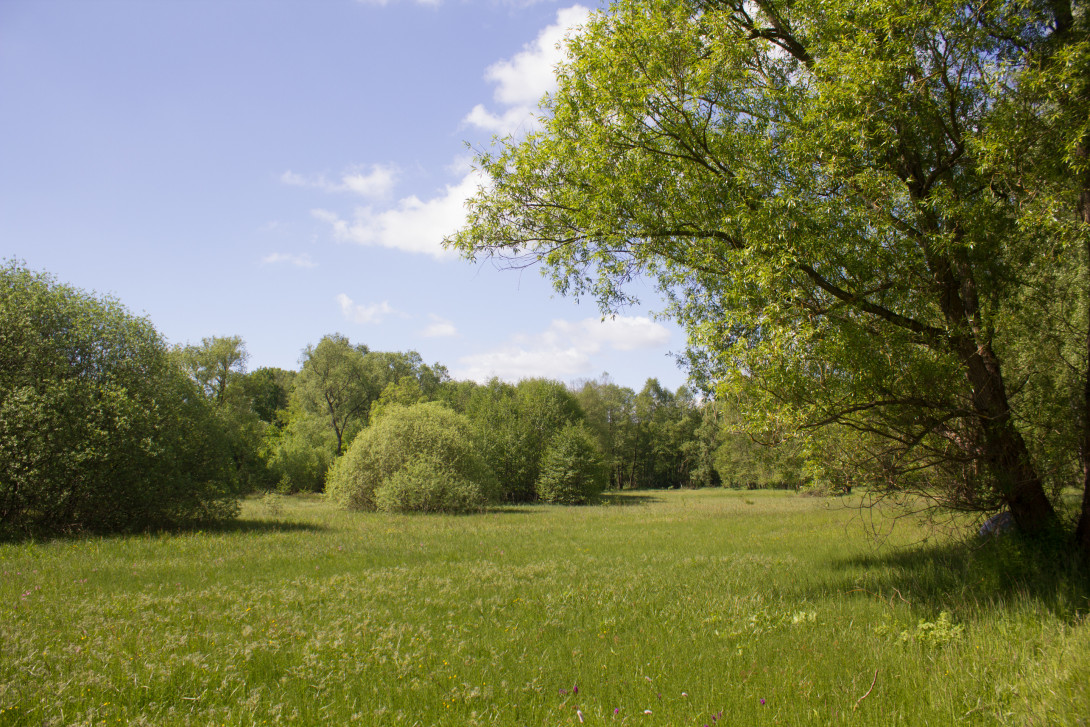 Belziger Burgwiesen, Foto: Bansen-Wittig