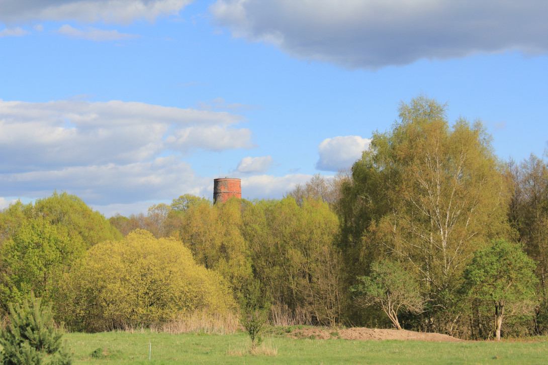 Blick auf den Bergfried der Burg Eisenhardt, Foto: Bansen-Wittig