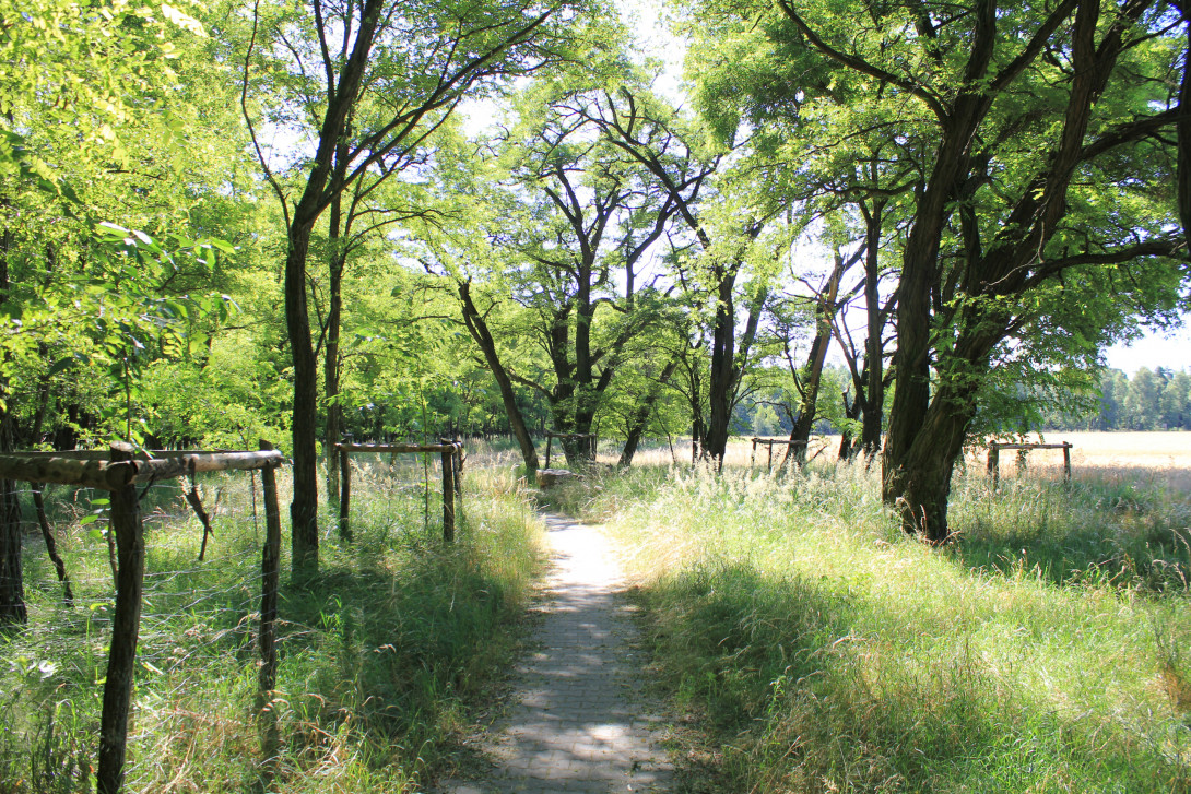 Am Weitzgrunder Weg, Foto: Bansen-Wittig