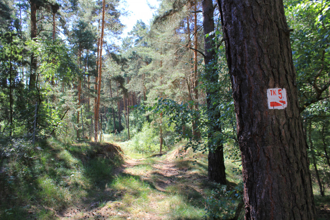 Baummarkierung, Foto: Bansen-Wittig