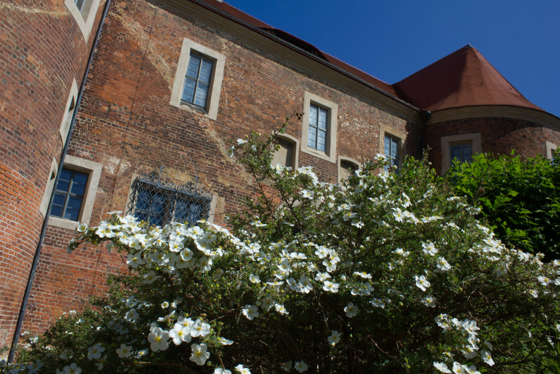 Burg Eisenhardt in Bad Belzig, Foto: Bansen-Wittig