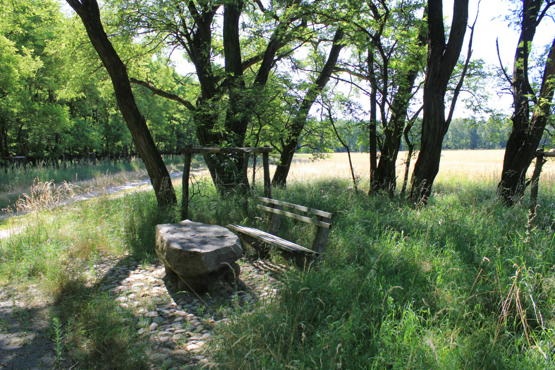 Rastplatz am Weitzgrunder Weg, Foto: Bansen-Wittig