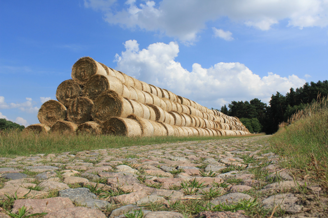 Kopfsteinpflasterstraßen sind typisch im Naturpark, Foto: Bansen-Wittig