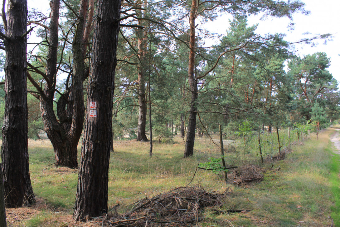 Wanderwegsmarkierung, Foto: Bansen-Wittig