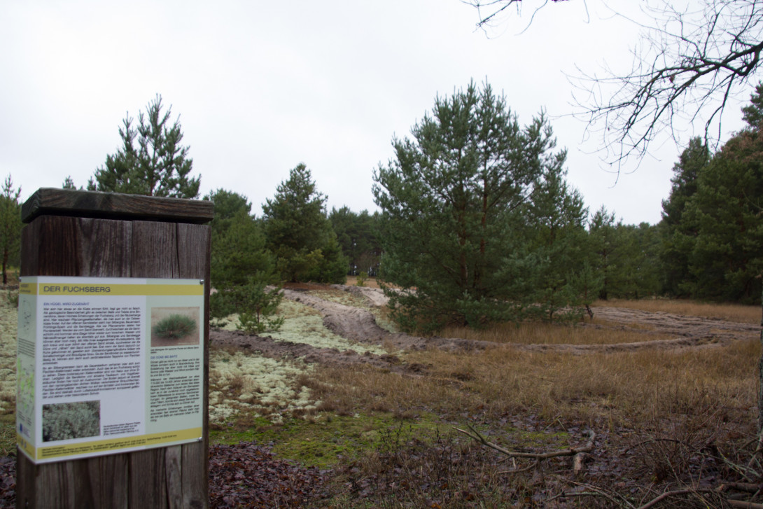Informationsstele am Fuchsberg, Foto: Bansen-Wittig