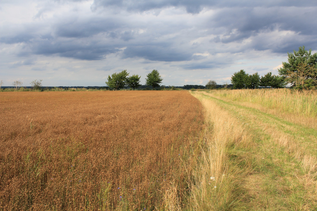 Weiter Blick in die Landschaft, Foto: Bansen-Wittig