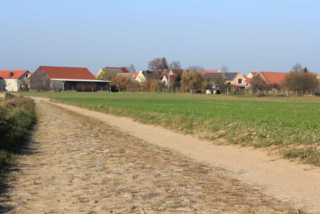 Die historische Kopfsteinpflasterstraße führt nach Bergholz, Foto: Bansen-Wittig