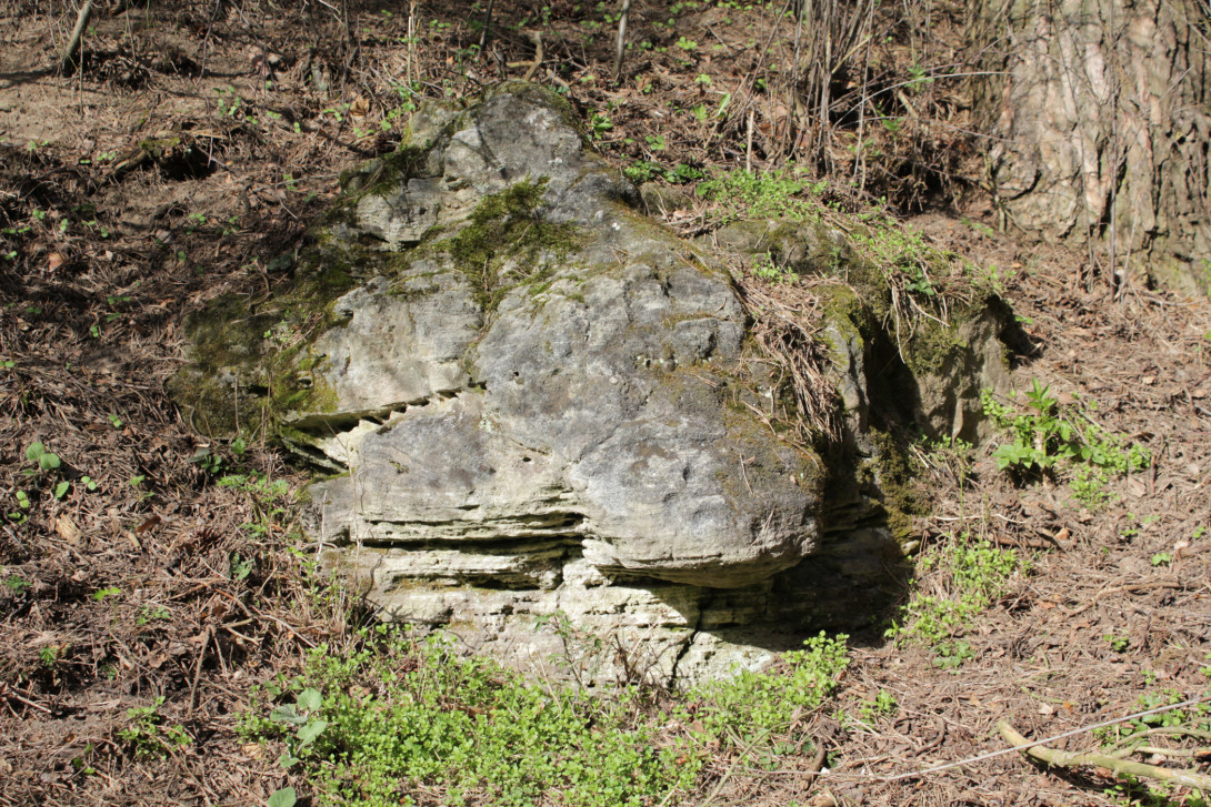 Schollenstein, ein Sandstein, in der Brautrummel, Foto: Bansen-Wittig