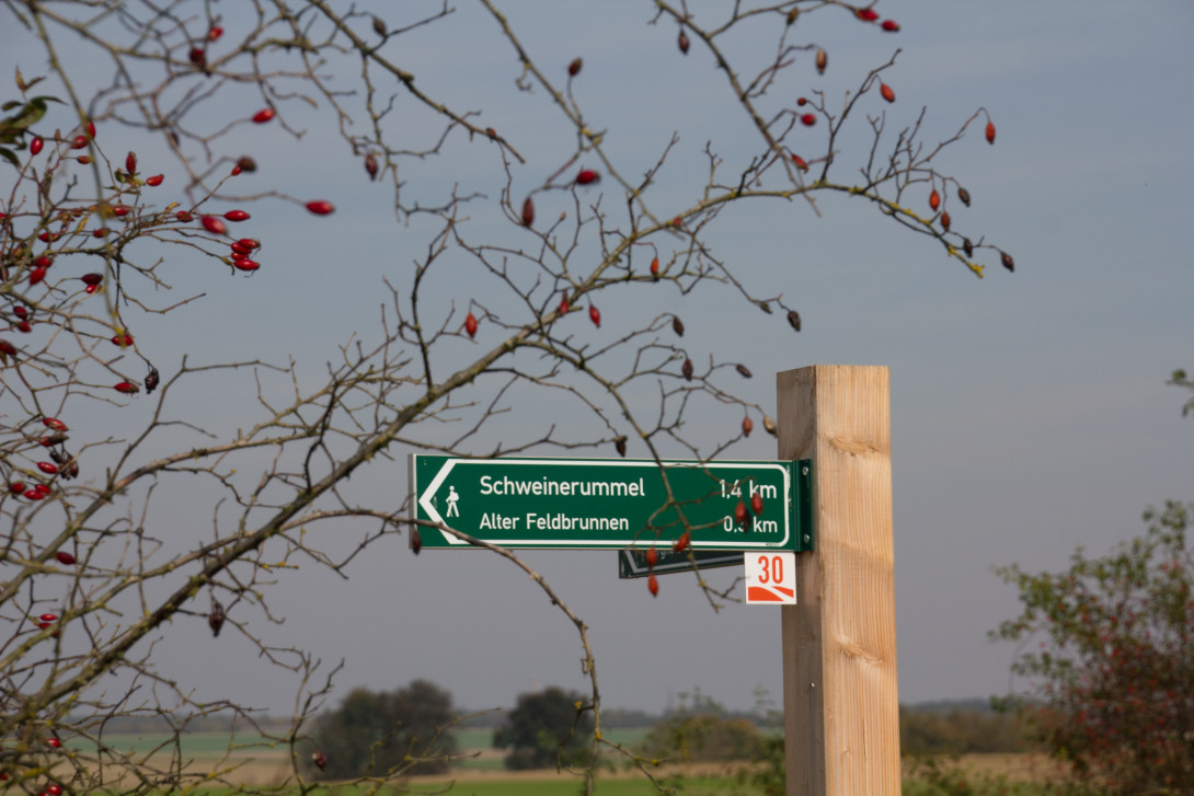 Wanderwegweiser, Foto: Bansen-Wittig