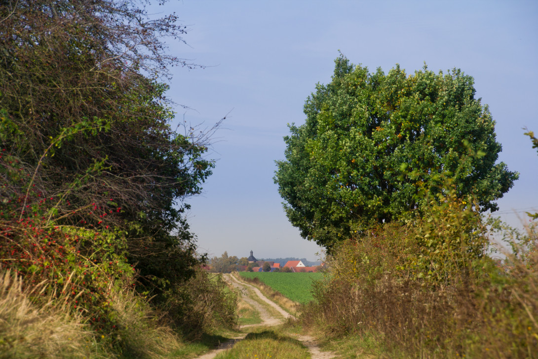 Schöner Landschaftsblick auf Bergholz, Foto: Bansen-Wittig
