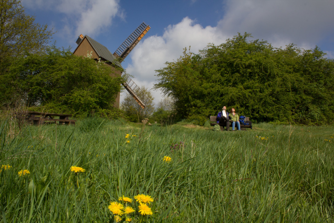 Wanderrast an der Bockwindmühle Borne, Foto: Bansen-Wittig