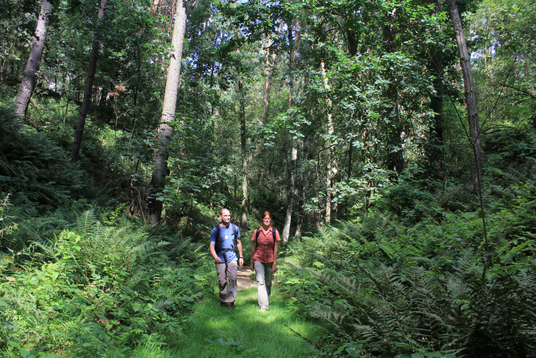Wanderer in der Neuendorfer Rummel, Foto: Bansen-Wittig