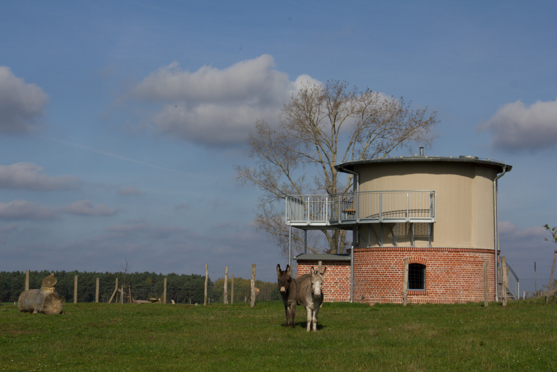 Esel vorm Alten Wasserwerk Garrey, Foto: Bansen-Wittig