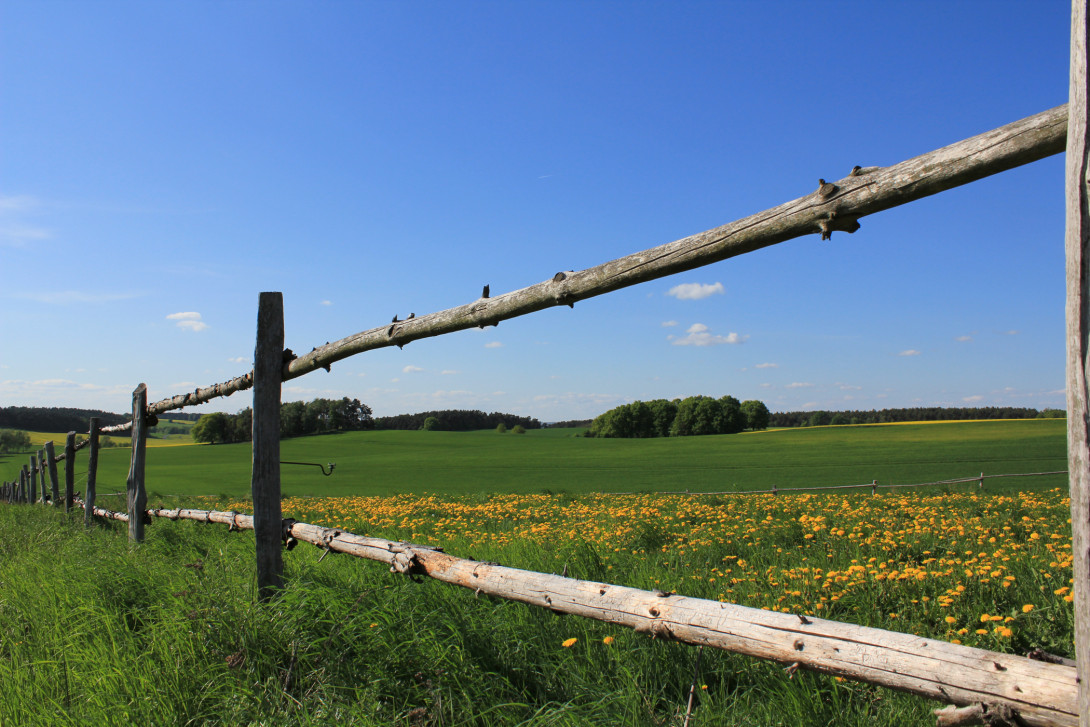 Ausblick bei Garrey, Foto: Bansen-Wittig
