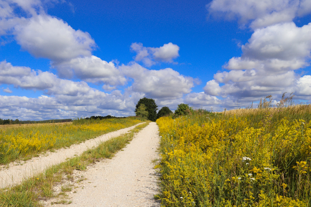 Abwechslungsreiche Landschaft gibt es am Naturpark-Rundwanderweg 40, Foto: Bansen-Wittig