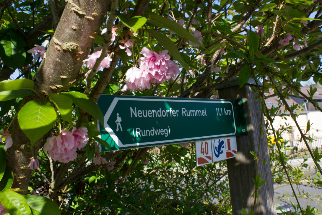 Wanderwegweiser bei Rädigke, Foto: Bansen-Wittig