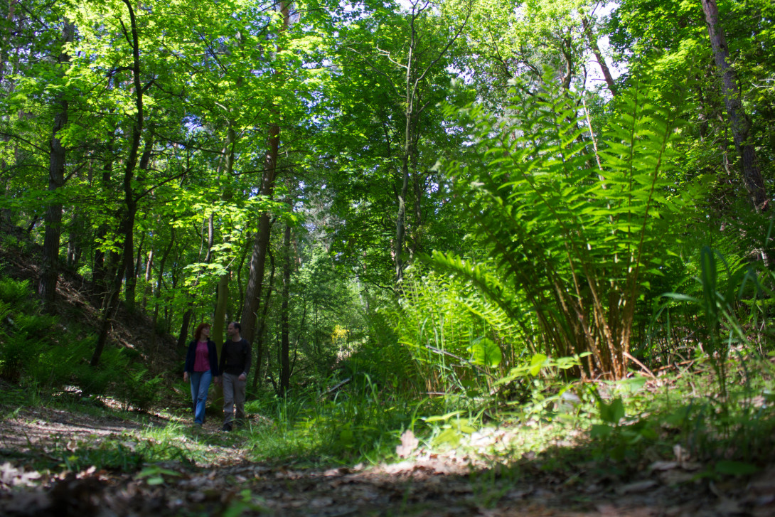In der Neuendorfer Rummel, Foto: Bansen-Wittig