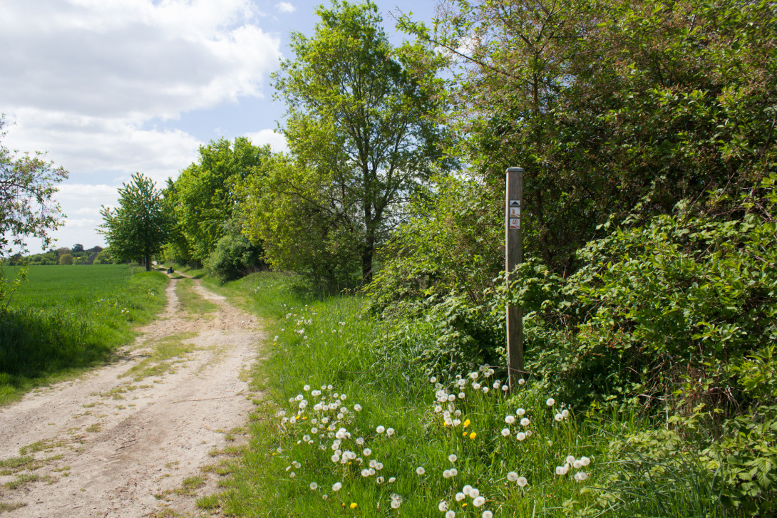 Zwischenwegweiser am Wegesrand, Foto: Bansen-Wittig