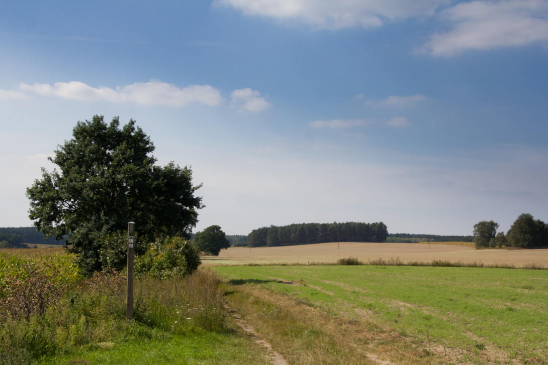 Wanderweg bei Lühnsdorf, Foto: Bansen-Wittig