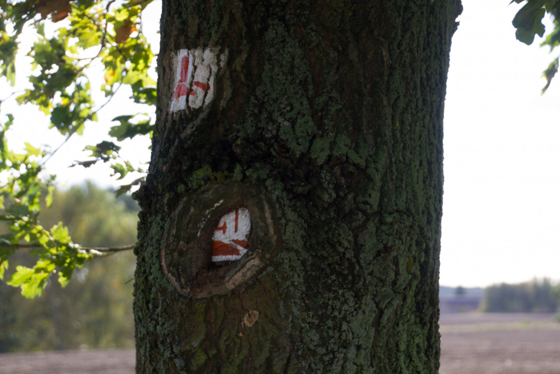 Genau hingucken, Foto: Bansen-Wittig
