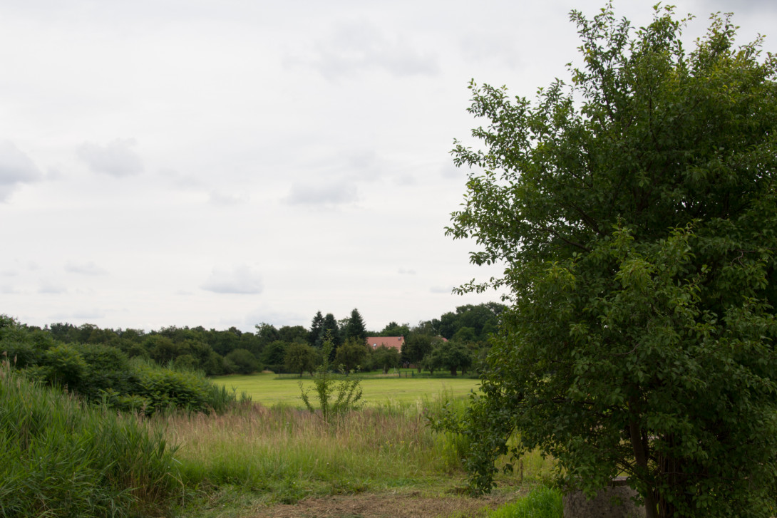Wiesenlandschaft vor Niemegk, Foto: Bansen-Wittig