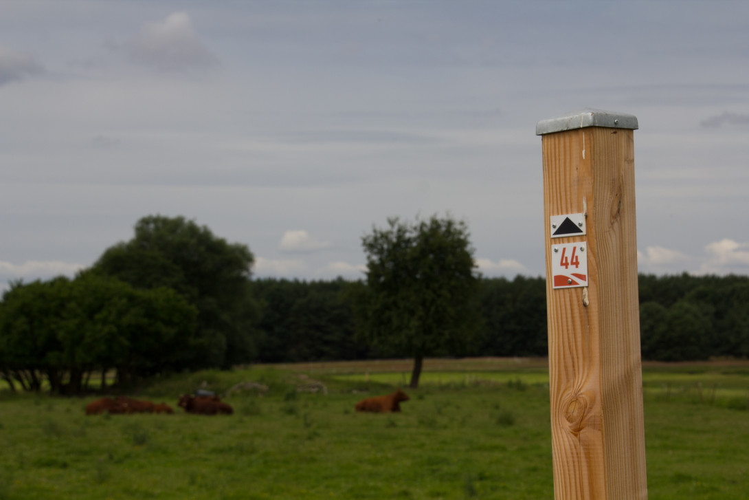Zwischenwegweiser, Foto: Bansen-Wittig