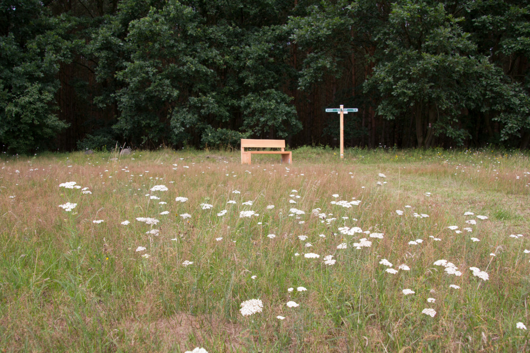 Rastbank mit Wiesenblick, Foto: Bansen-Wittig