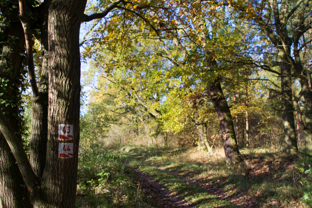 Wandern rund um Niemgk, Foto: Bansen-Wittig