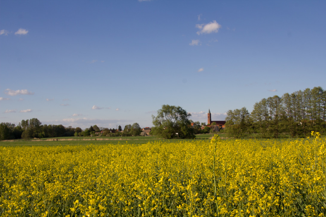 Blick auf Niemegk, Foto: Bansen-Wittig