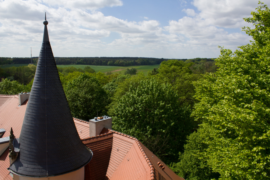 Blick vom Schlossturm Wiesenburg, Foto: Bansen-Wittig