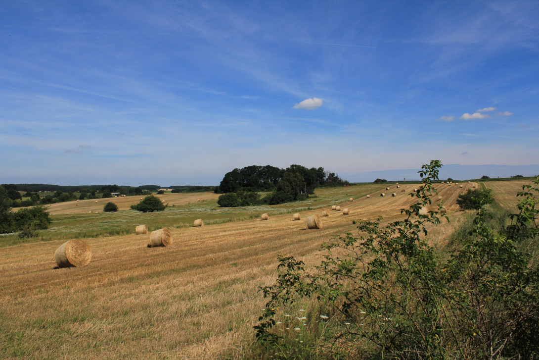 Landschaftblick am Heidehof, Foto: Bansen-Wittig