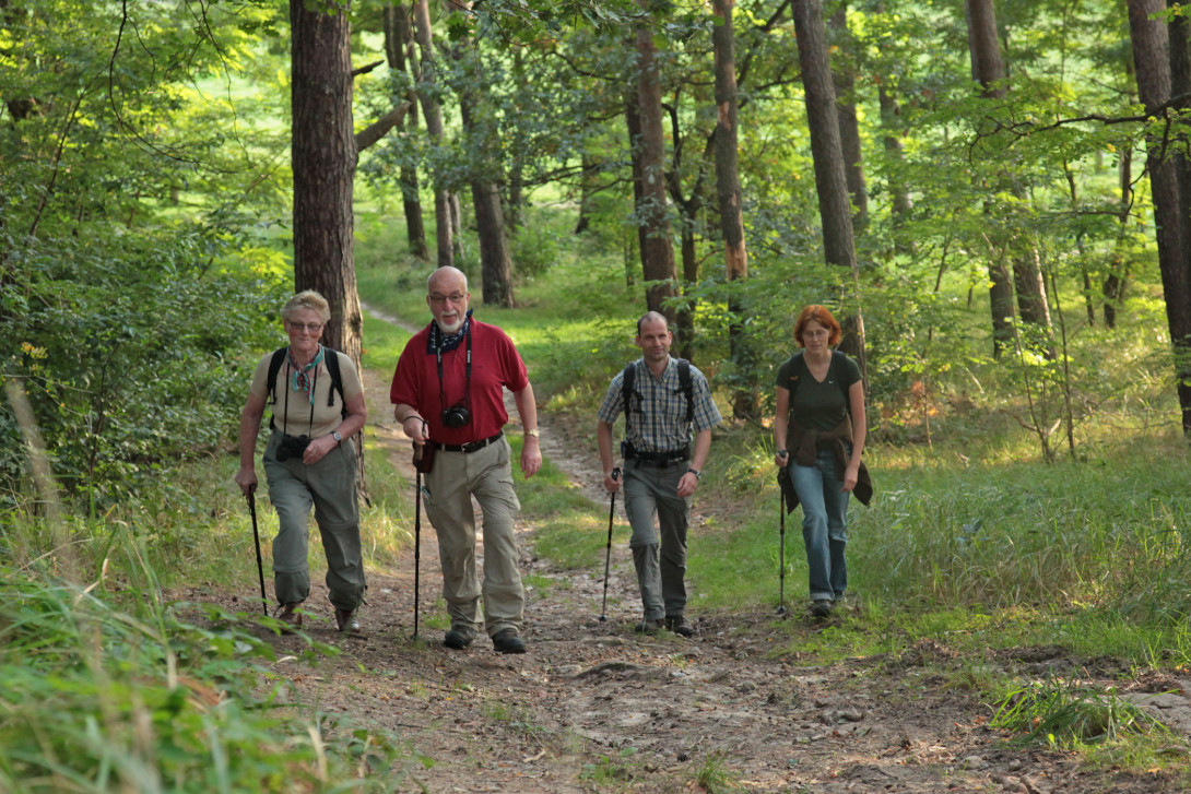 Aufstieg im hügeligen Naturpark, Foto: Dirk Fröhlich
