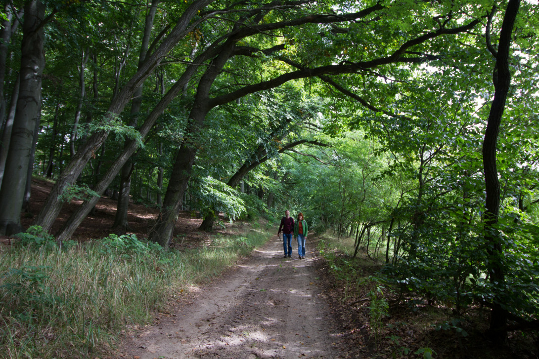 Frische Waldluft atmen, Foto: Bansen-Wittig
