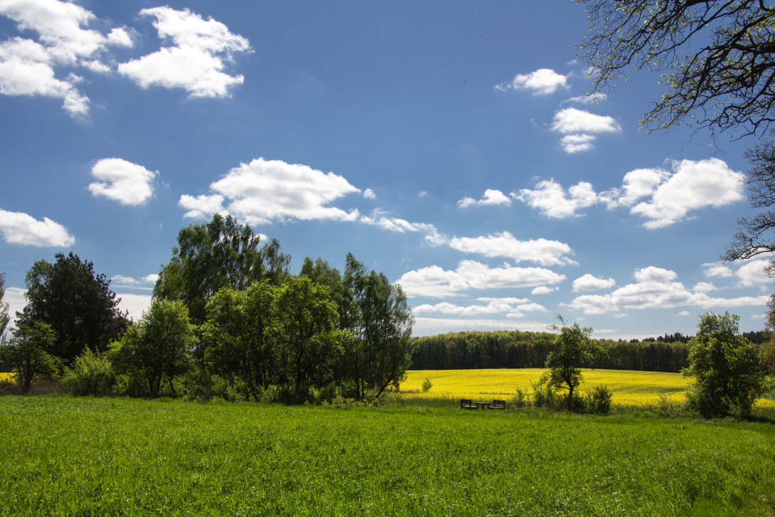 Abwechslungreiche Landschaft mit verstecktem Rastplatz, Foto: Bansen-Wittig