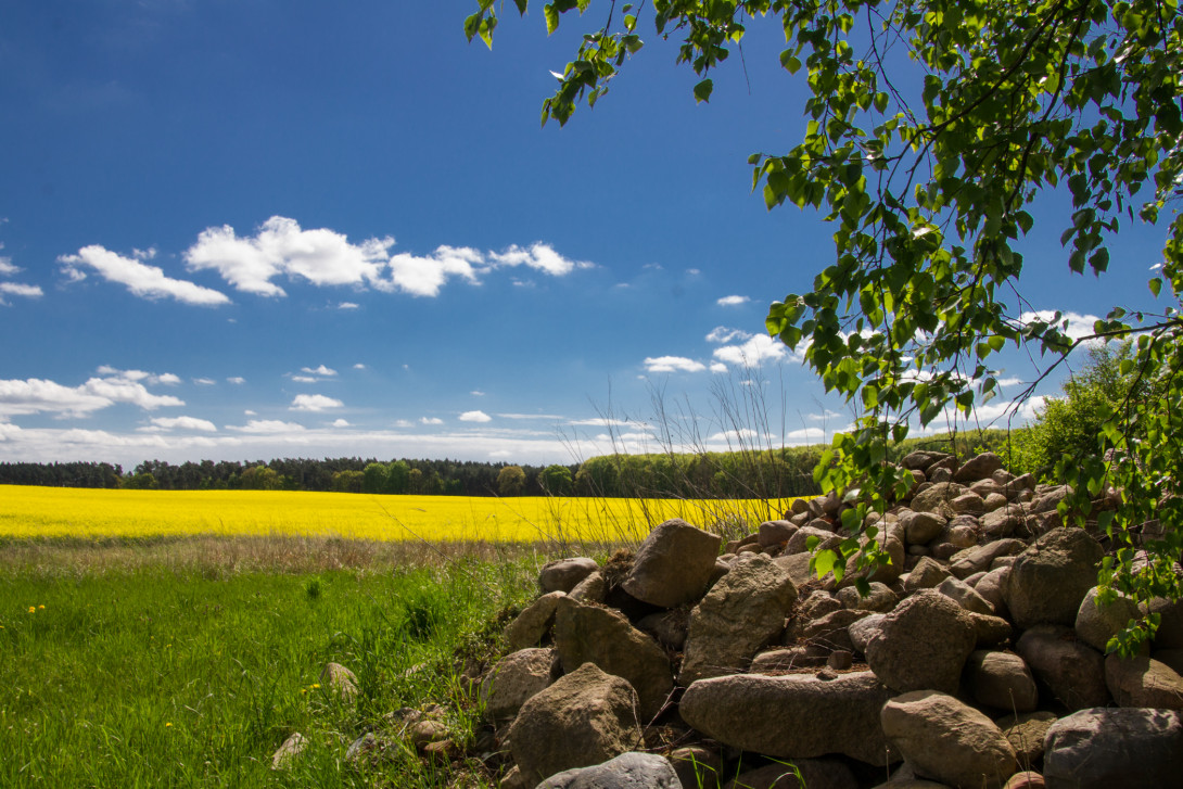 Steinreicher Fläming, Foto: Bansen-Wittig