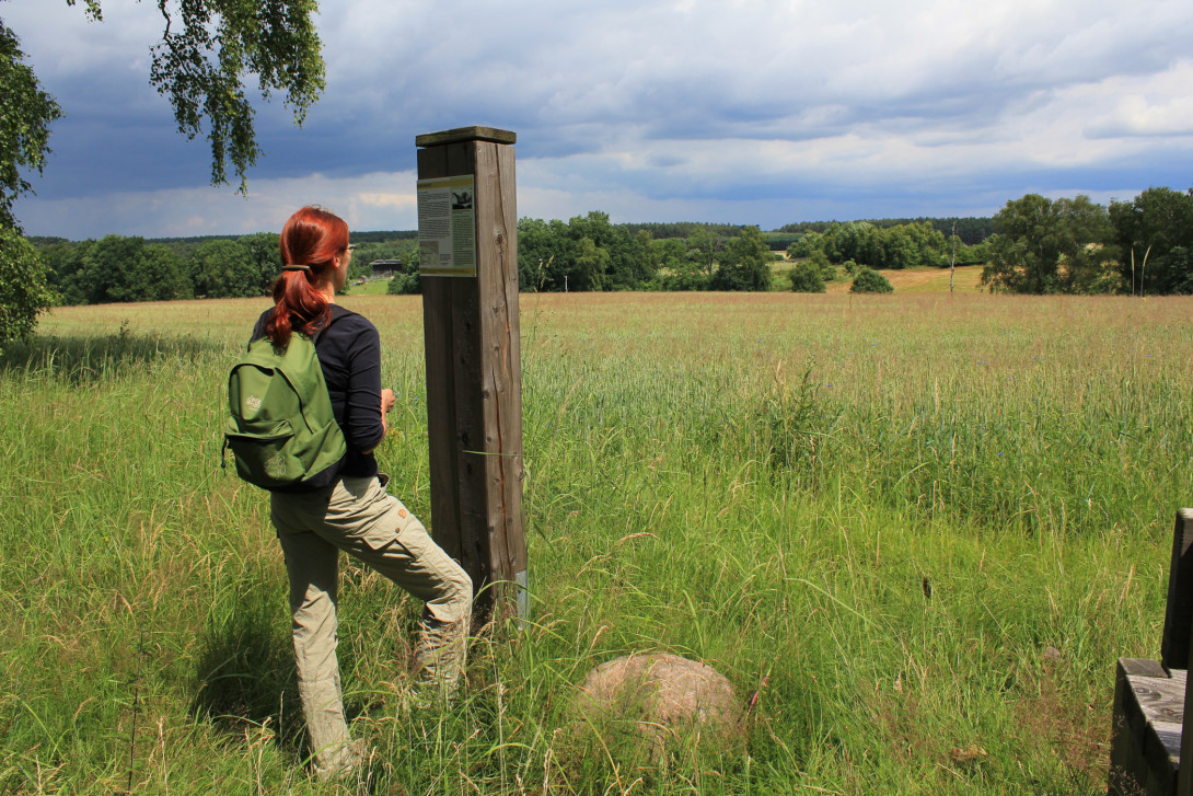 Infostelen begleiten den Weg, Foto: Bansen-Wittig