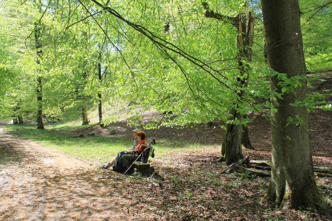 Frühlingsrast im Buchenwald, Foto: Bansen-Wittig